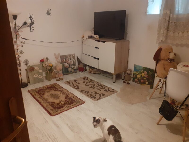 Dacia- Victoriei- Berthelot